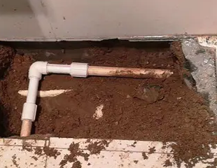 宝安测漏水哪家好