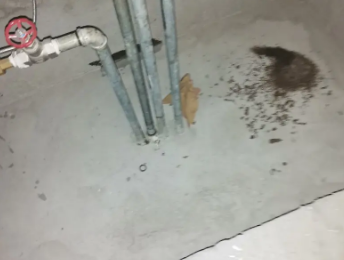 宝安卫生间测漏水价格明细